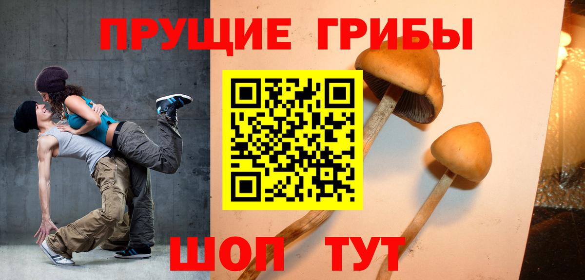 Псилоцибиновые грибы Magic Shrooms Асино