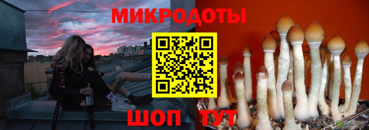 Галлюциногенные грибы прущие грибы  Псилоцибиновые грибы MAGIC MUSHROOMS  Асино  Вход с VPN 